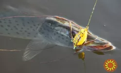 Воблер Лягушка Незацепляйка номер 2