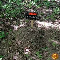 Поховання домашніх тварин у м. Тернопіль