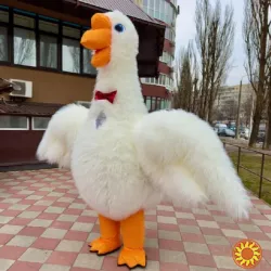 Уличная реклама зоомагазина