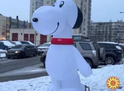 Уличная реклама зоомагазина