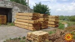 Дистрибуция лесопродукции