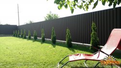 Забор из проф. настила. `Броневик` Днепр.