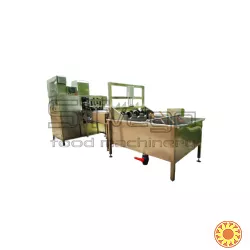 Лінія для очищення від шкірки та видалення серцевини яблук STvega Apl Pel H500AU