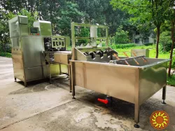 Лінія для очищення від шкірки та видалення серцевини яблук STvega Apl Pel H500AU