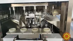 Лінія для очищення від шкірки та видалення серцевини яблук STvega Apl Pel H500AU