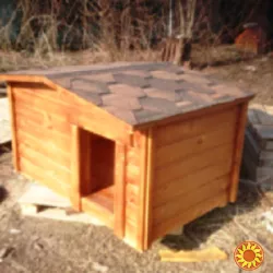 Продам дерев'яну утеплену будку для собаки.