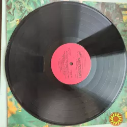 Ядя Поплавская и Александр Тиханович – Счастливый случай