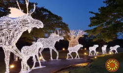 Студія «ОМІ» Створює унікальні світлові фігури, включаючи новорічні на замовлення