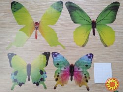 Бабочки №2 декор на холодильник