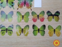 Бабочки №2 декор на холодильник