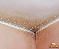 Устранения конденсата в квартире