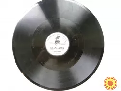 Пластинка А.Александрович/Братья Лепянские/Белла Дона/Варша город радости .