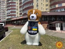 Медведь костюм