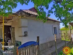 Продам дом с большим участком в Малой Сквирке.