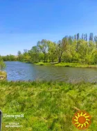 Продам дом с большим участком в Малой Сквирке.