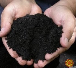 Чернозем для дач участков огородов на ландшафтный дизайн по области