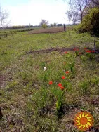 Власник,продам участок під застрйку,Гоголів