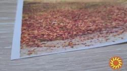 Картина на стену Осень ,картинка