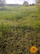 Власник,продам участок під застрйку,Гоголів