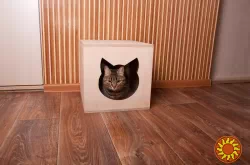 Будиночок для кота.