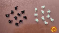 Паучки Чёрные, Белые для хэллоуина прикола пластмассовые 10 шт