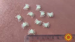 Паучки Чёрные, Белые для хэллоуина прикола пластмассовые 10 шт