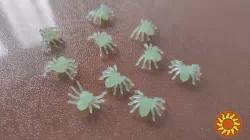 Паучки Белые фосфорные для хэллоуина пластмассовые 10 шт