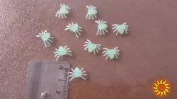 Паучки Белые фосфорные для хэллоуина пластмассовые 10 шт