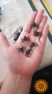Паучки Белые фосфорные для хэллоуина пластмассовые 10 шт