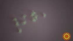 Паучки Белые фосфорные для хэллоуина пластмассовые 10 шт