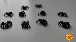 Паучки Чёрные 10 шт для хэллоуина ,для прикола