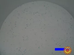 Продам пральний порошок від виробника.