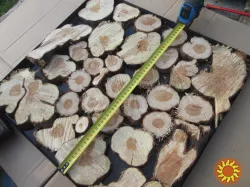 Можжевельник древесина, кругляк.