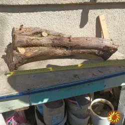 Можжевельник древесина, кругляк.