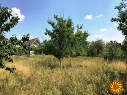 БЕЗ%, дім 91м2, с.Дмитрівка, Бучанський (Києво-Святошинський) район, 15 км ст.м Житомирська