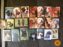 Календарики кошки и собаки