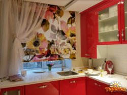 Римские шторы. Рольшторы. Римские шторы с фотопечатью. Шторы на окна