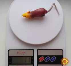 Мышка воблер Незацепляйка номер 3