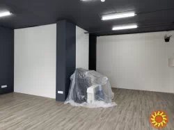 Профессиональный ремонт квартир, офисов, домов