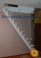 Сходи гусячий крок. "Броневик" Дніпро