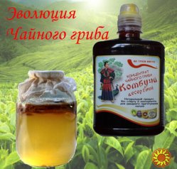 Комбуча десертний - концентрат чайного гриба, 1 л