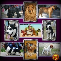 Предлагаем для вязки