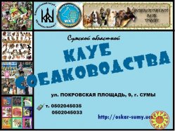 Предлагаем для вязки