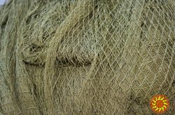 Дель узловая