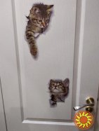 Наклейки котики для детской комнаты