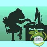 Ищу работу – органическое продвижение сайта