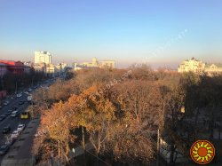 БЕЗ %, Продам офіс 7 кабінетів 225 м2, вул Володимирська 61/11, будинок купця Мороза, парк Шевченка