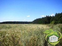 Продам участок 2 га под строительство в Березовке 17 км Киев, по Житомирской трассе, возле леса, ресторан Фильварок