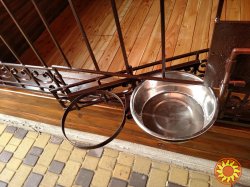 Вольеры для собаки. "Броневик" Днепр.