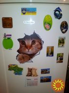 Наклейки котики номер 2 для детской комнаты